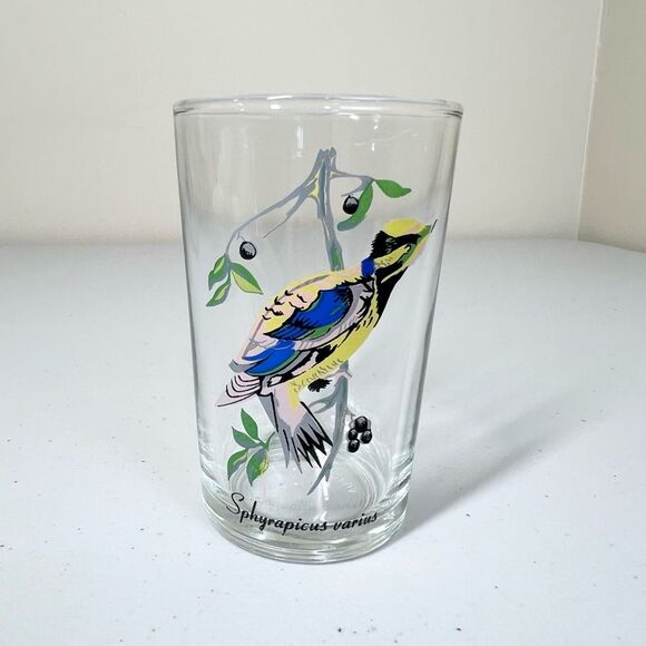 VTG 60’s Kig Malaysia Exotic Tropical Bird Glasses Set of 6 - Picture 7 of 14